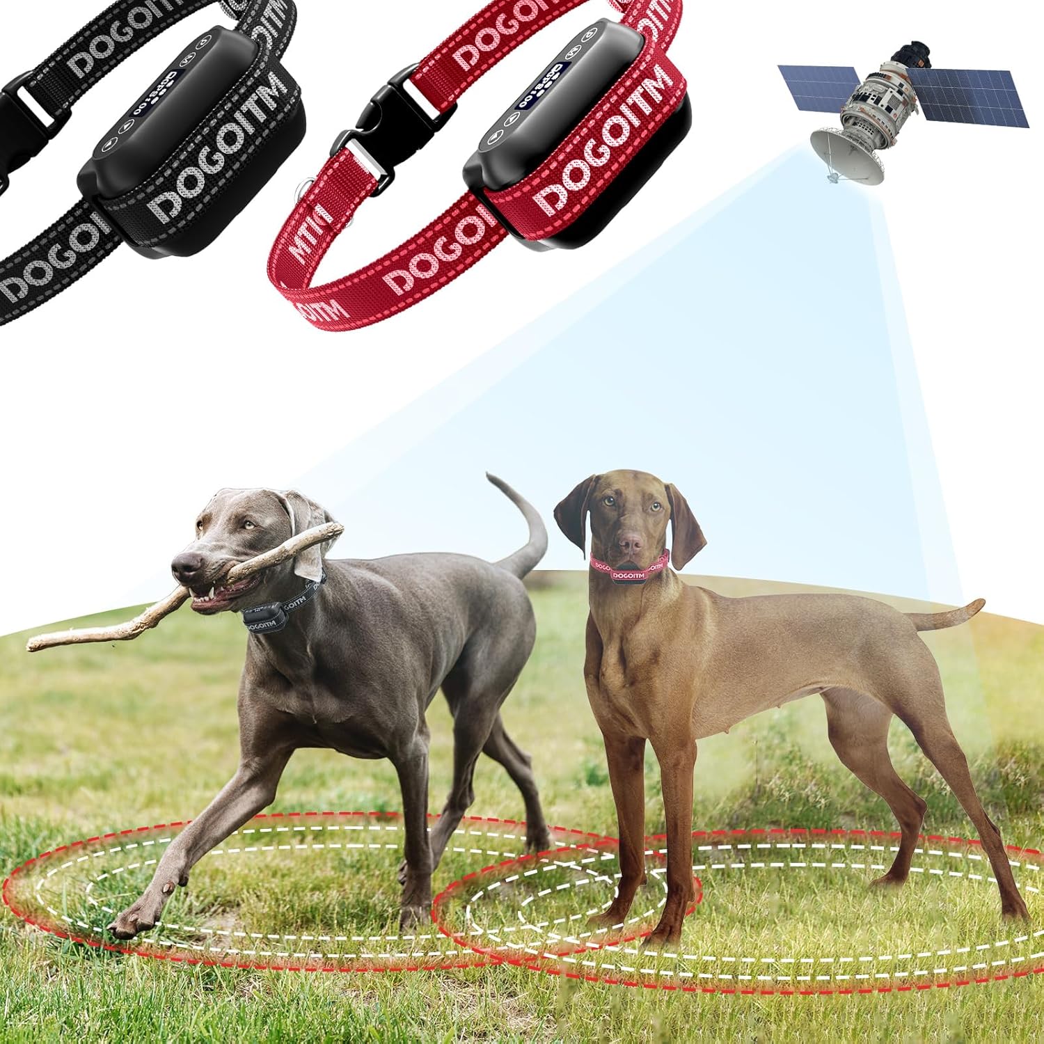 About Dogoitm