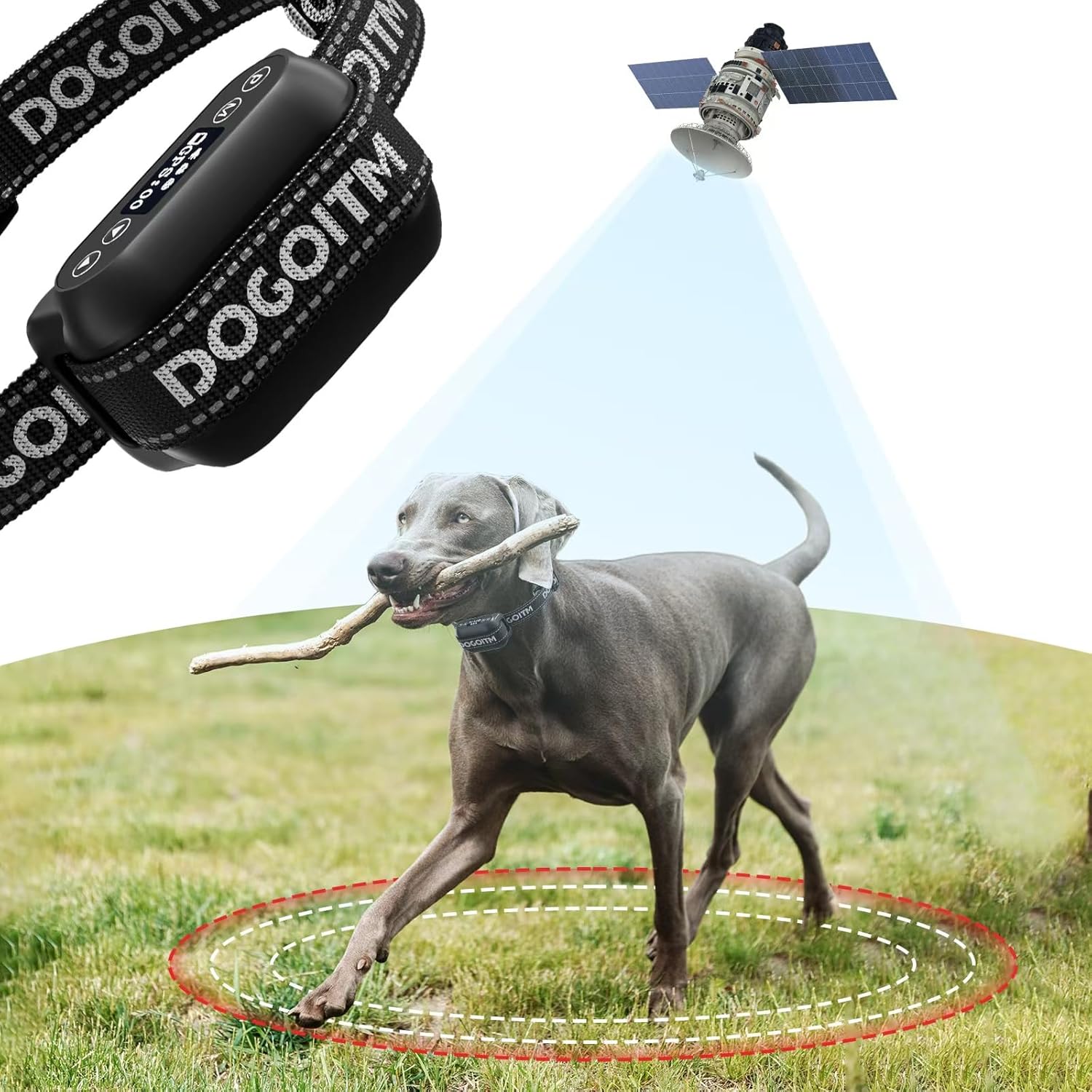 Why Choose Dogoitm?