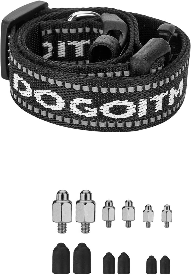 Your Dog’s Freedom Awaits with Dogoitm!